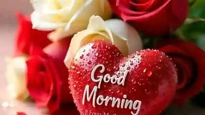 담임목사님 신비한 목회 체험기