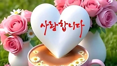 네 양떼의 형편을 부지런히 살피며 네 소 떼에 마음을 두라  (담임목사 신비한 목회 체험기)