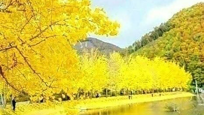 목회자는 성미와..... 성도들의 사랑을 먹고 산다 - 담임목사 신비한 목회 체험기