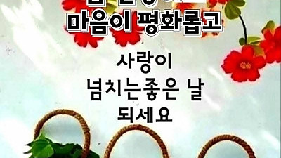예배 후 안수기도 시간에 환상을 보고 체험을 한 성도들 (담임목사 신비한 목회 체험기)