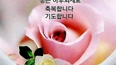 2025년 5월 25일