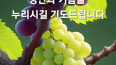 이때를 위함이 아닌지 누가 알겠느냐 (에4:12-17) 2025년  8월  10일  주일대예배