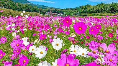 그 날이 가까움을 볼수록 더욱 그리하자(히10:25)