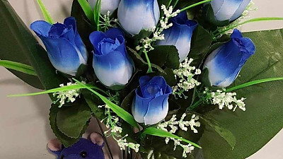 나의 성공이 주님의 은혜로 고백하는 자의 복.(삼상30:16-25) 2025년  11월  9일  주일밤 예배