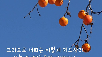 내가 만민 중에 주께 감사하오며(시57:9-11) 2025년  11월  16일 주일대 예배